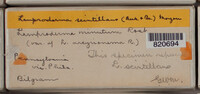 Image Associated With the Occurence